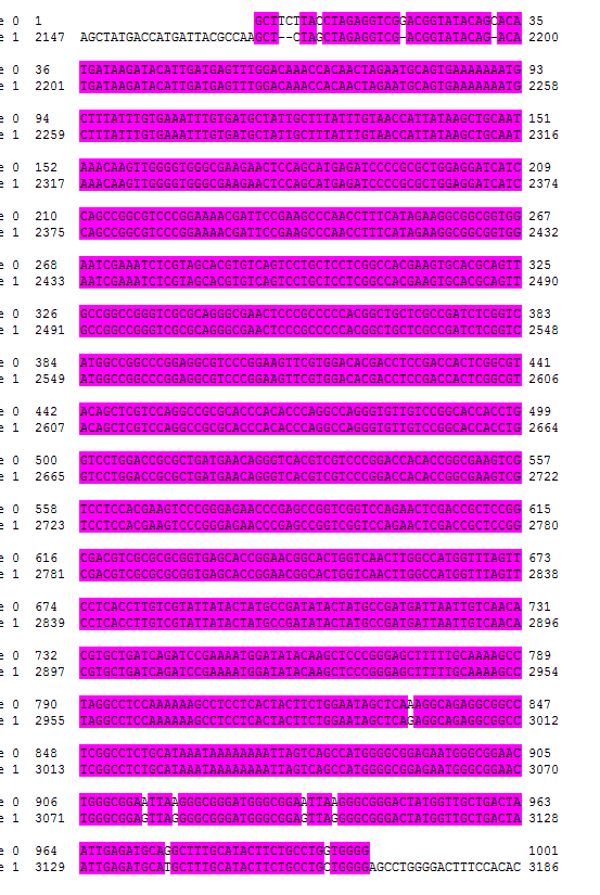 pLSC- 5 Plasmid